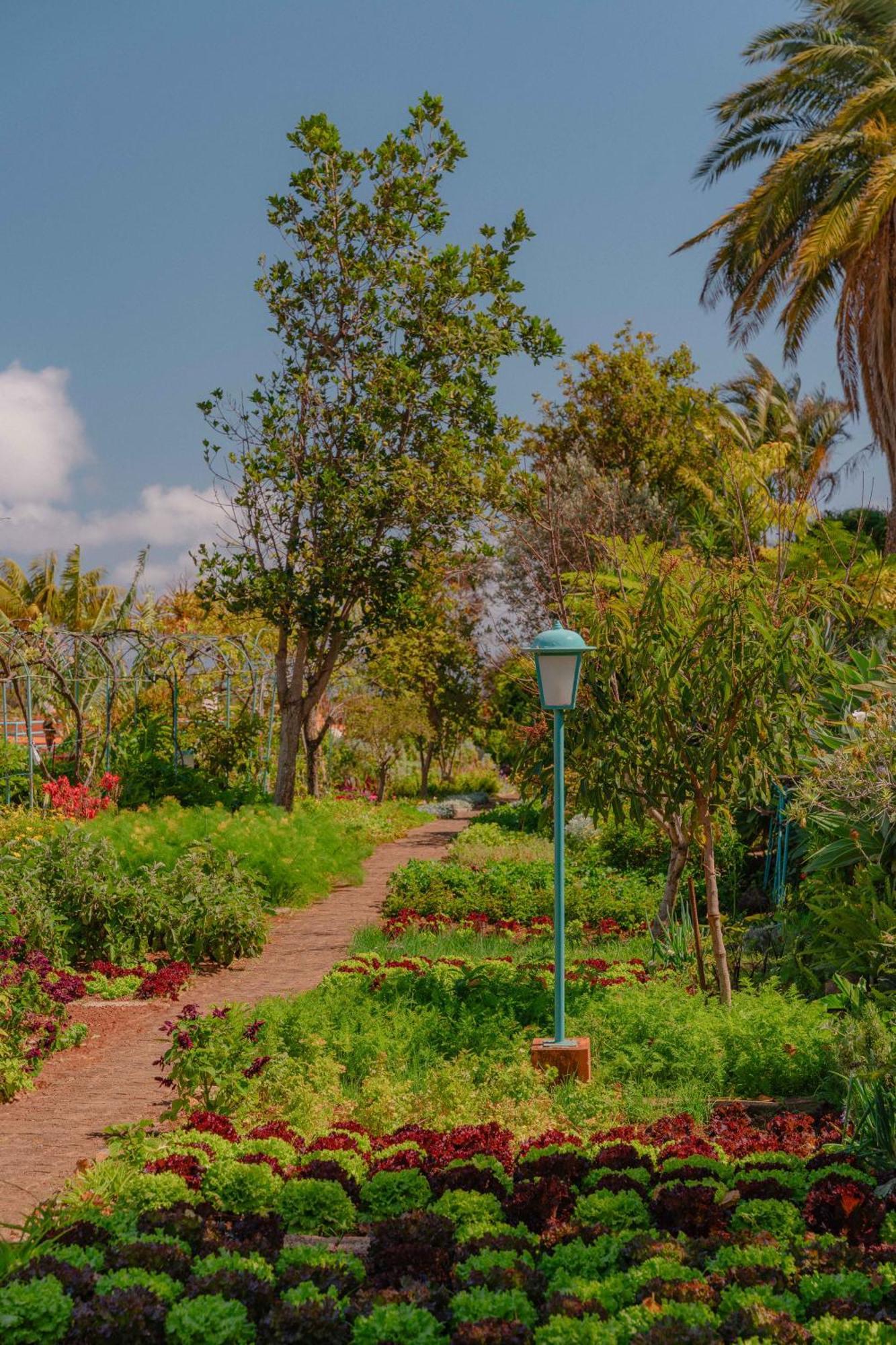 Quinta Splendida Wellness & Botanical Garden Hotell Caniço Eksteriør bilde